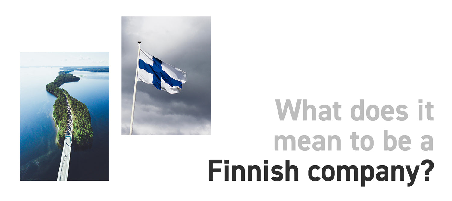Finnish landscape and Finland flag in front of grey clouds with caption