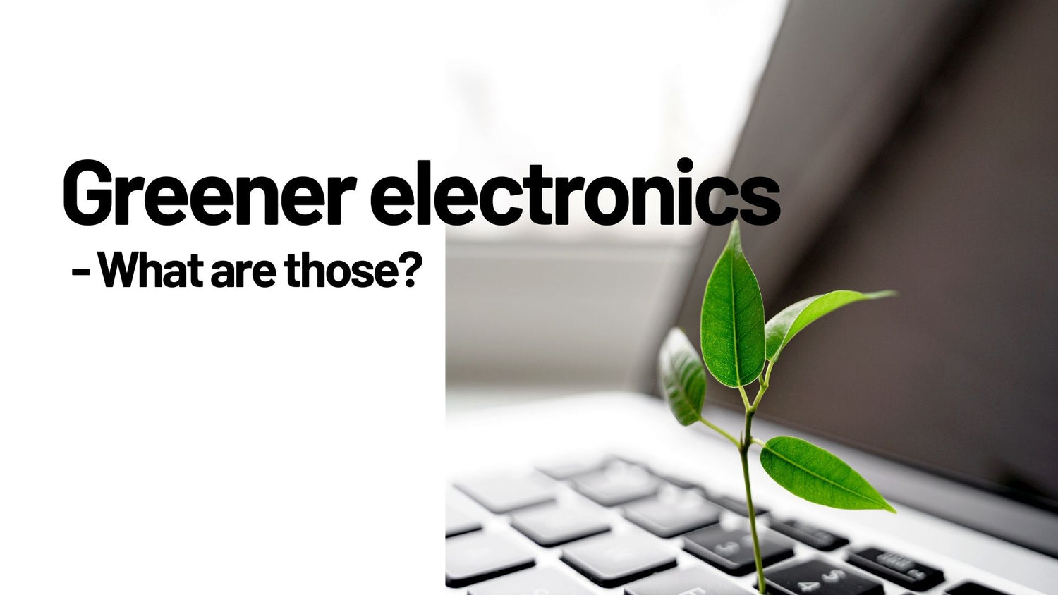 What is green electronics?