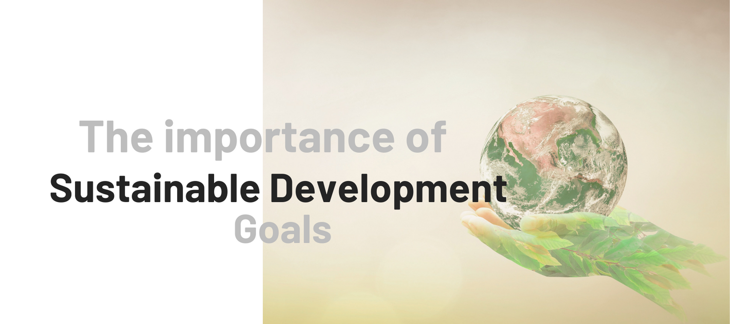 The importance of sustainable development goals and a hand holding the world